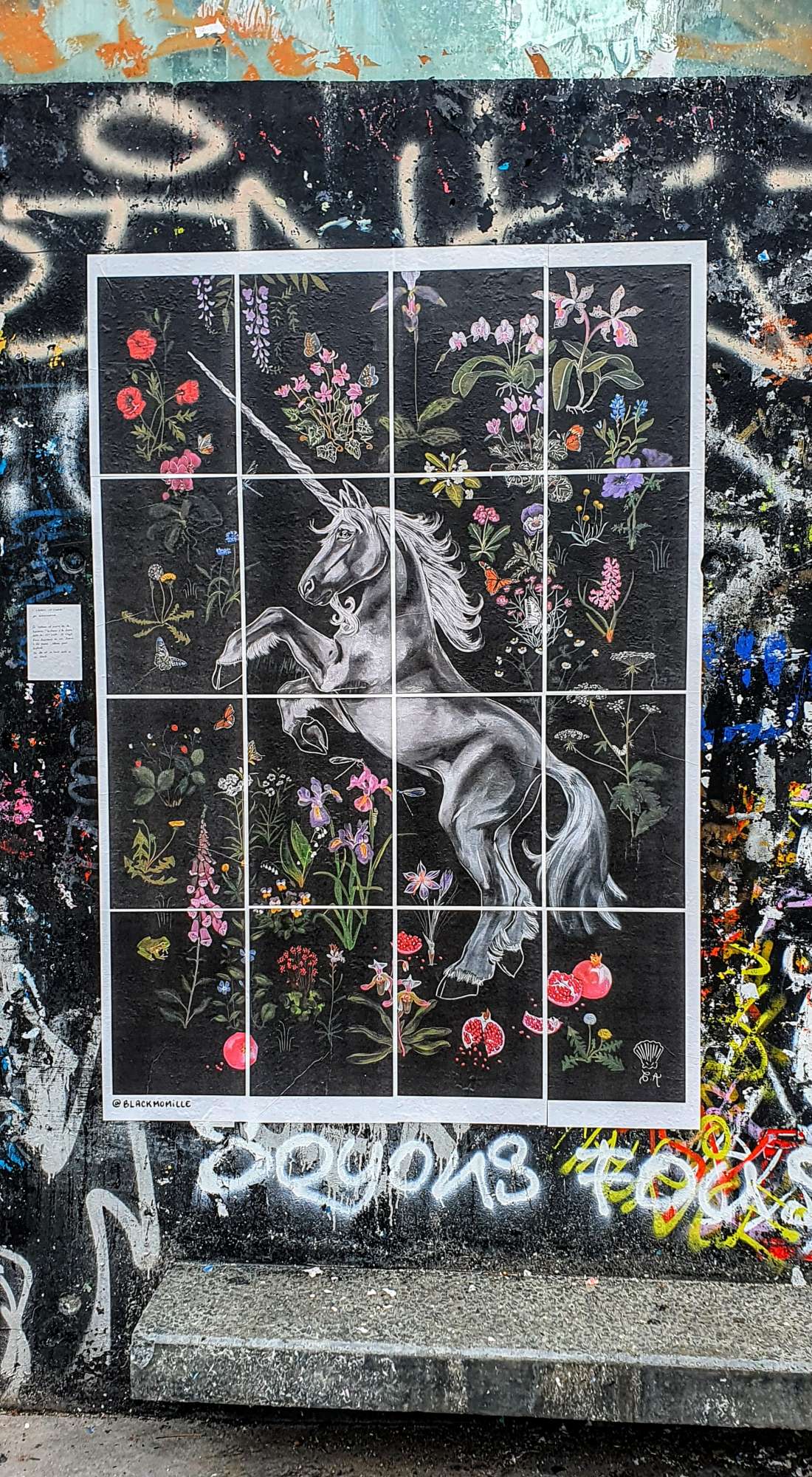 
								Street-art graffiti fresque 
								Blackmomille 
									7Z Rue Marguerite Duras
									75013
									Paris
									France 
									AnunaQi
								Street-Art-Safari.com
								