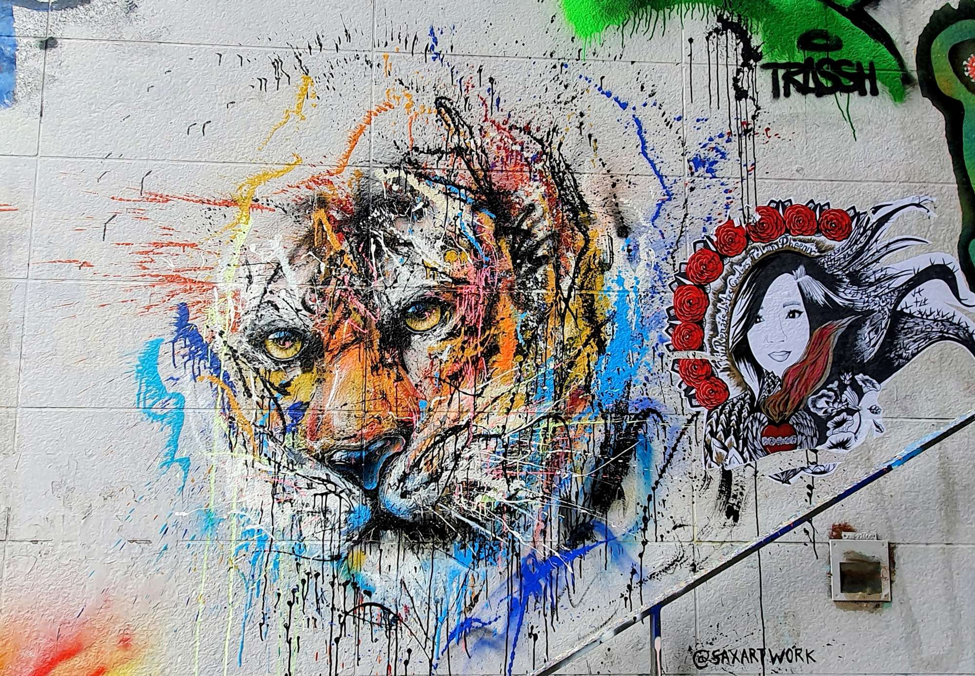 
								Street-art graffiti fresque 
								SAX 
									20 Boulevard du G&eacute;n&eacute;ral d'Arm&eacute;e Jean Simon
									75013
									Paris
									France 
									AnunaQi
								Street-Art-Safari.com
								