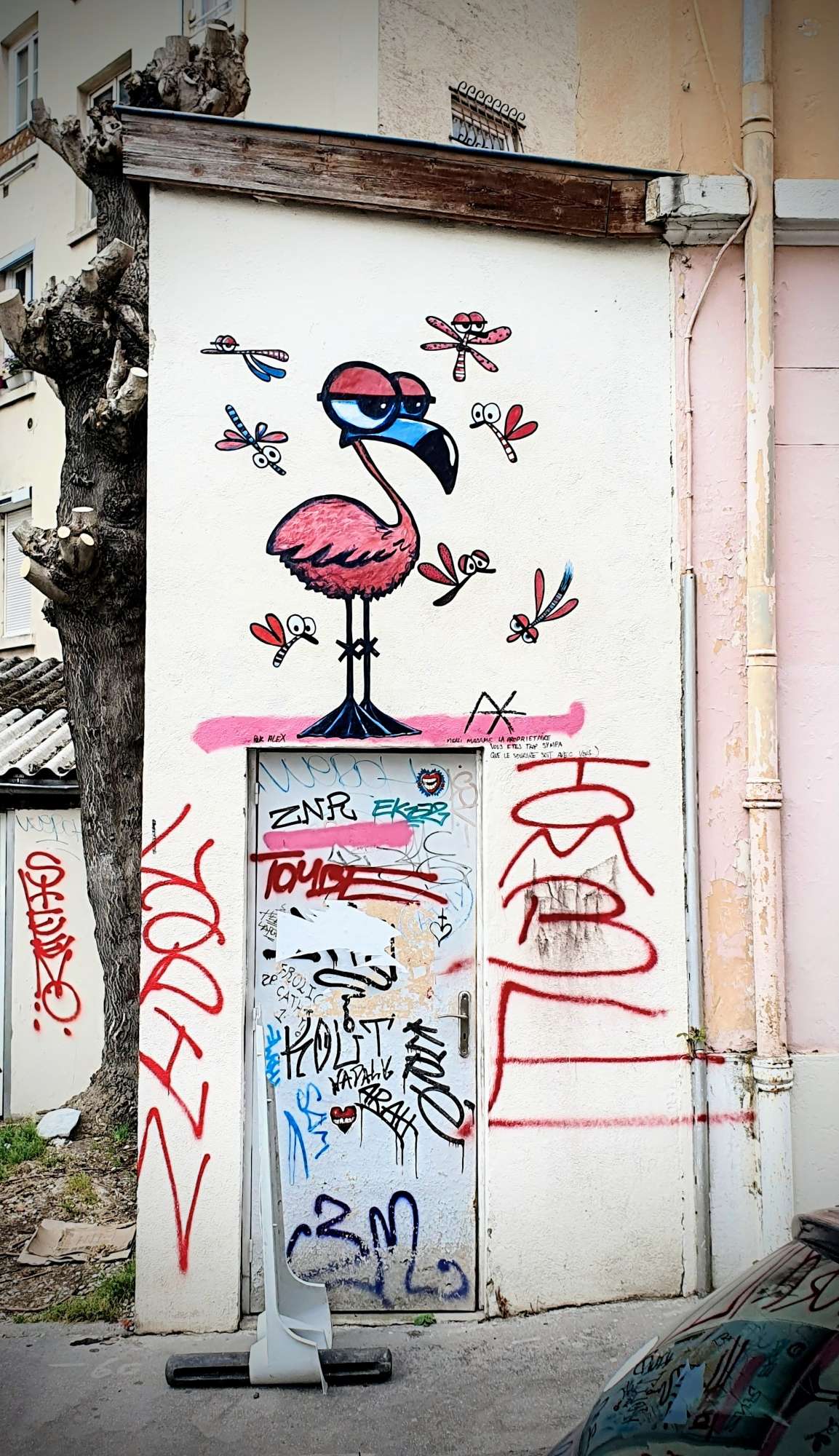 
								Street-art graffiti fresque 
								Ax Creart 
									15 Rue Elie Rochette
									69007
									Lyon
									France 
									AnunaQi
								Street-Art-Safari.com
								