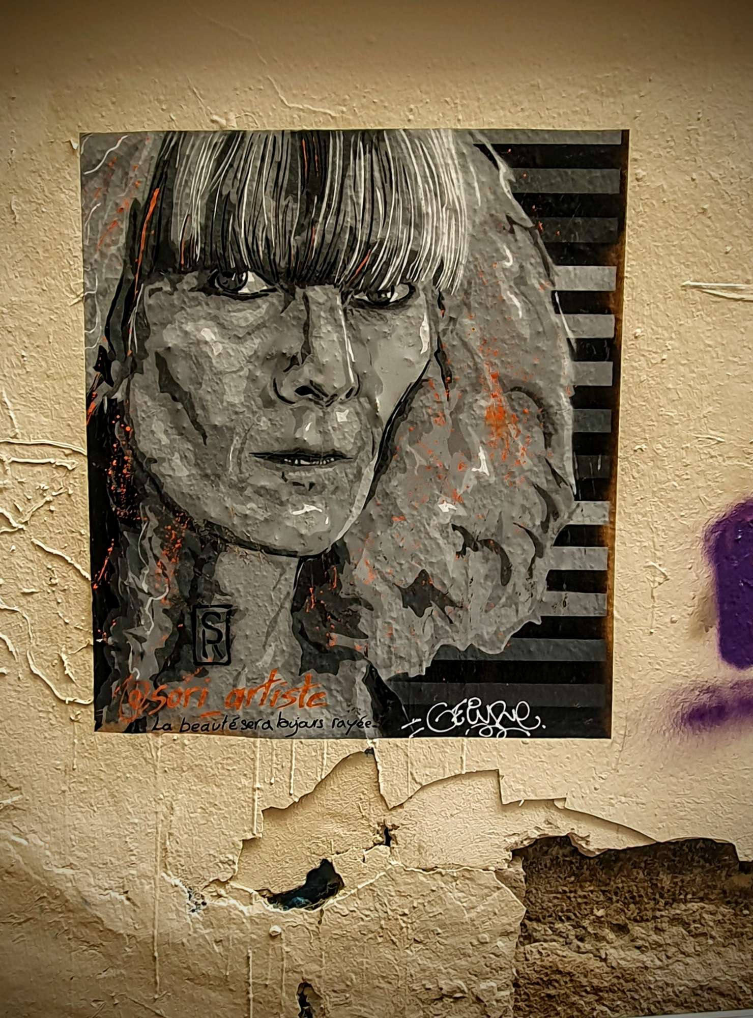 
								Street-art graffiti fresque 
								Sori 
									27 Passage Mermet
									69001
									Lyon
									France 
									AnunaQi
								Street-Art-Safari.com
								