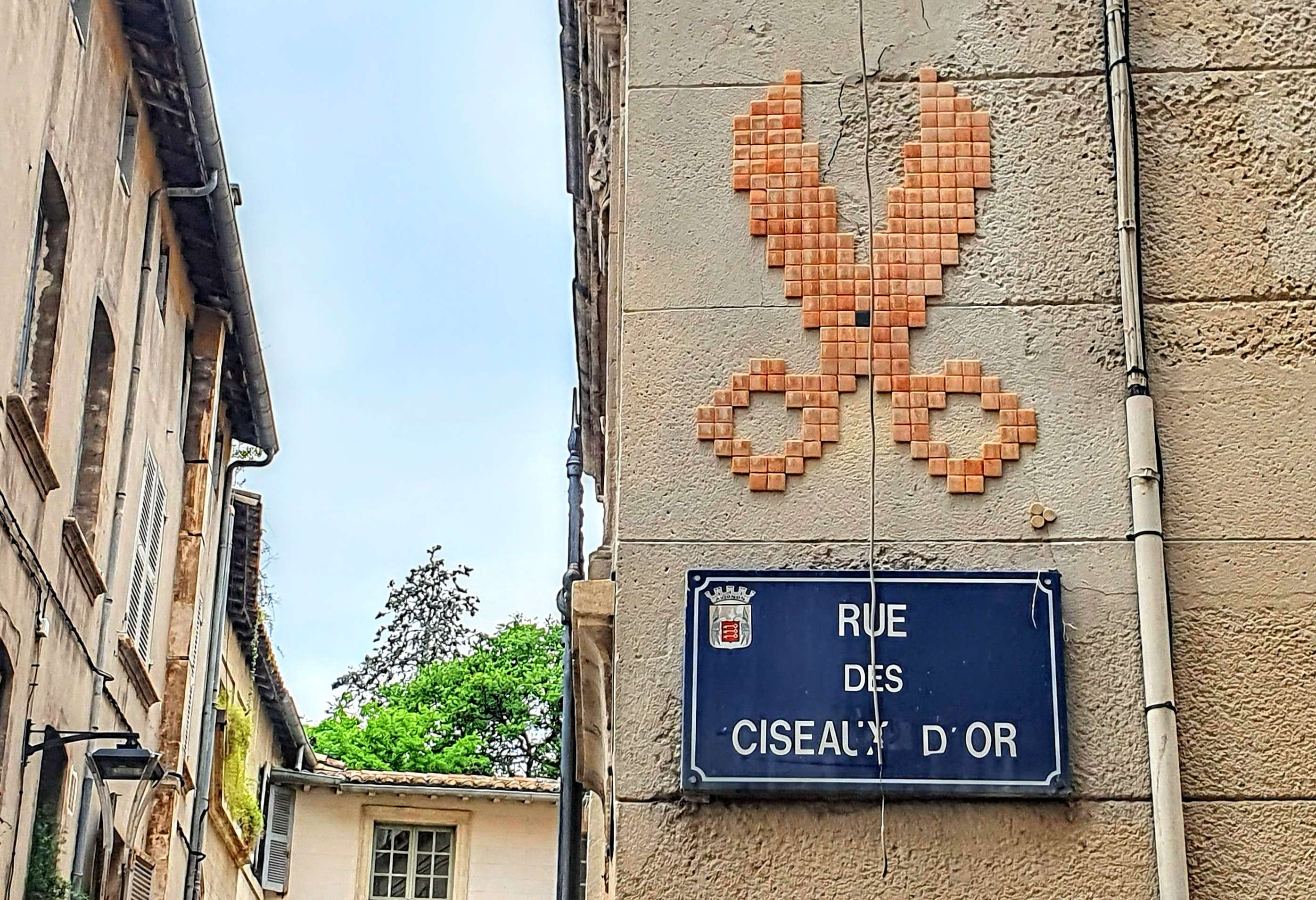 
								Street-art graffiti fresque 
								MifaMosa 
									9 Place Saint-Pierre
									84000
									Avignon
									France 
									AnunaQi
								Street-Art-Safari.com
								