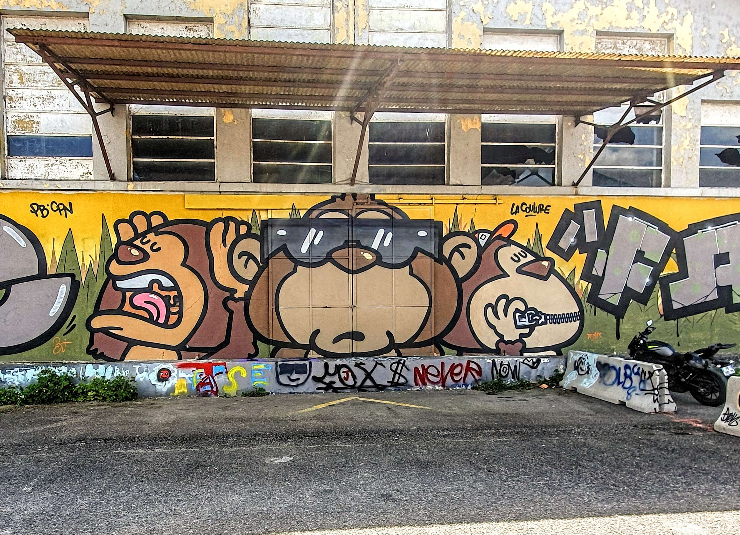 
								Street-art graffiti fresque 
								La Coulure 
									13 Rue du Petit Bion
									38300
									Bourgoin-Jallieu
									France 
									AnunaQi
								Street-Art-Safari.com
								