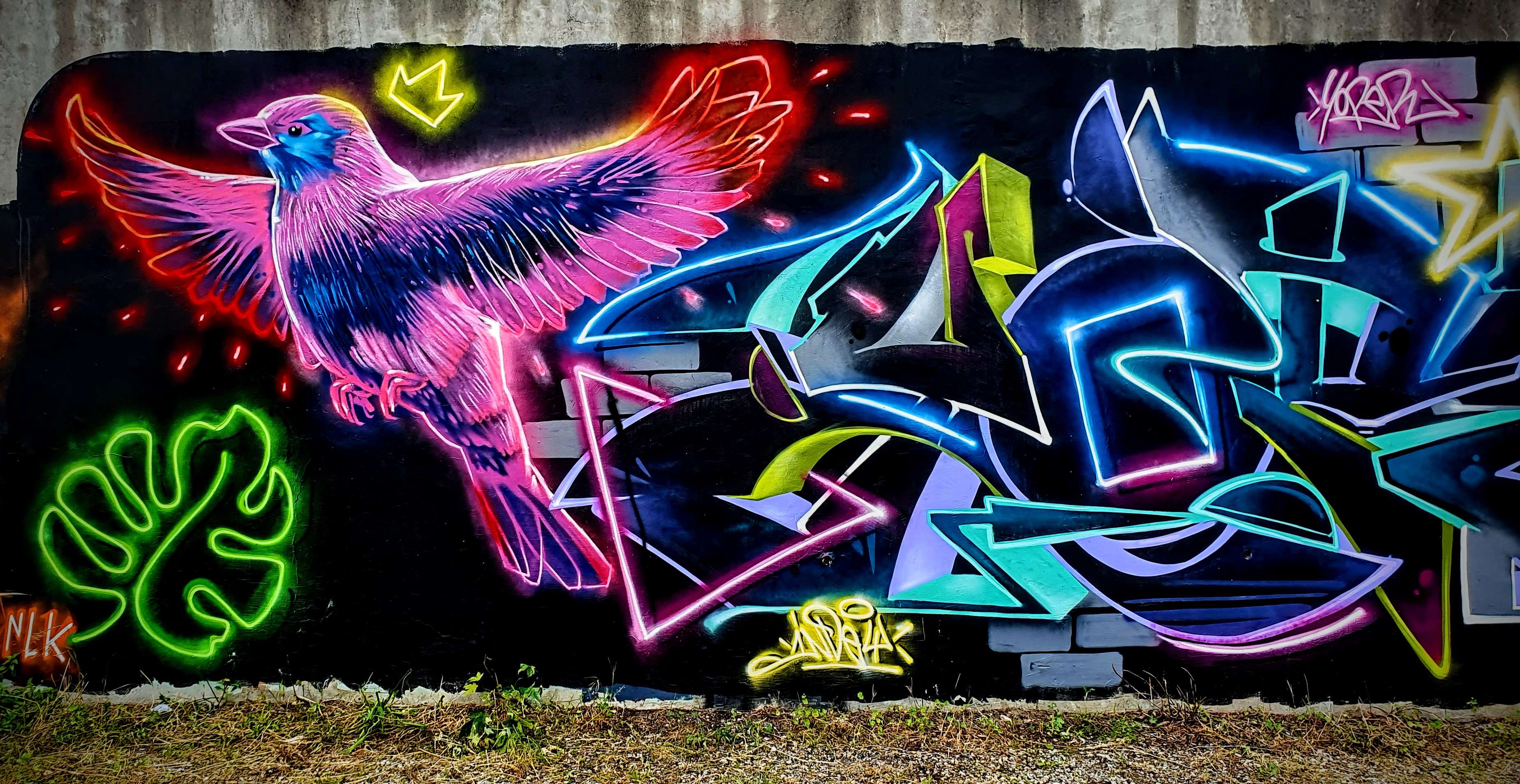 
								Street-art graffiti fresque 
								indey_nlk, Yoper Yope 
									2387 Route du Dauphin&eacute;
									38300
									Maubec
									France 
									AnunaQi
								Street-Art-Safari.com
								