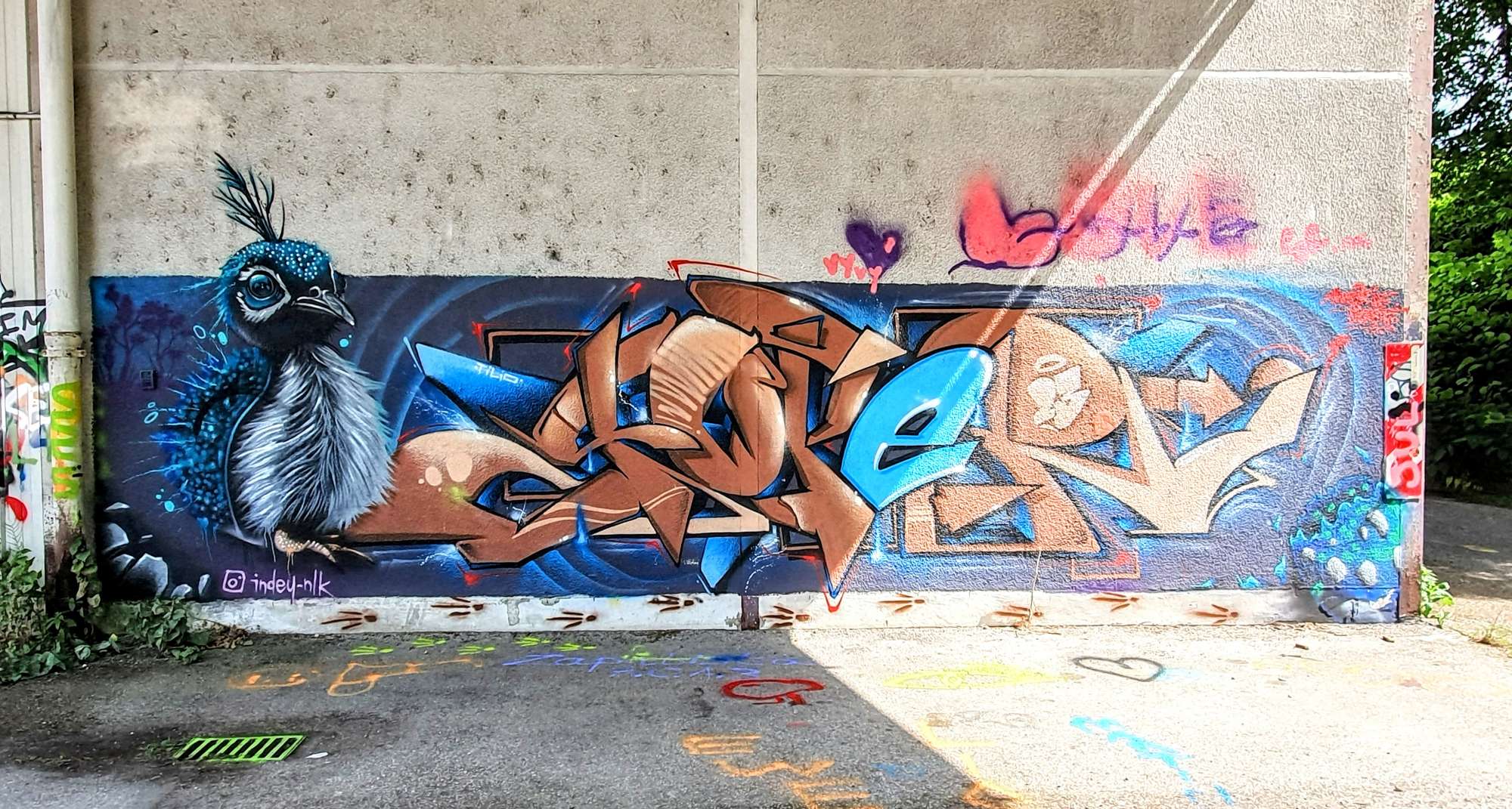 
								Street-art graffiti fresque 
								indey_nlk 
									370 Rue Joseph Bedor
									38300
									Maubec
									France 
									AnunaQi
								Street-Art-Safari.com
								