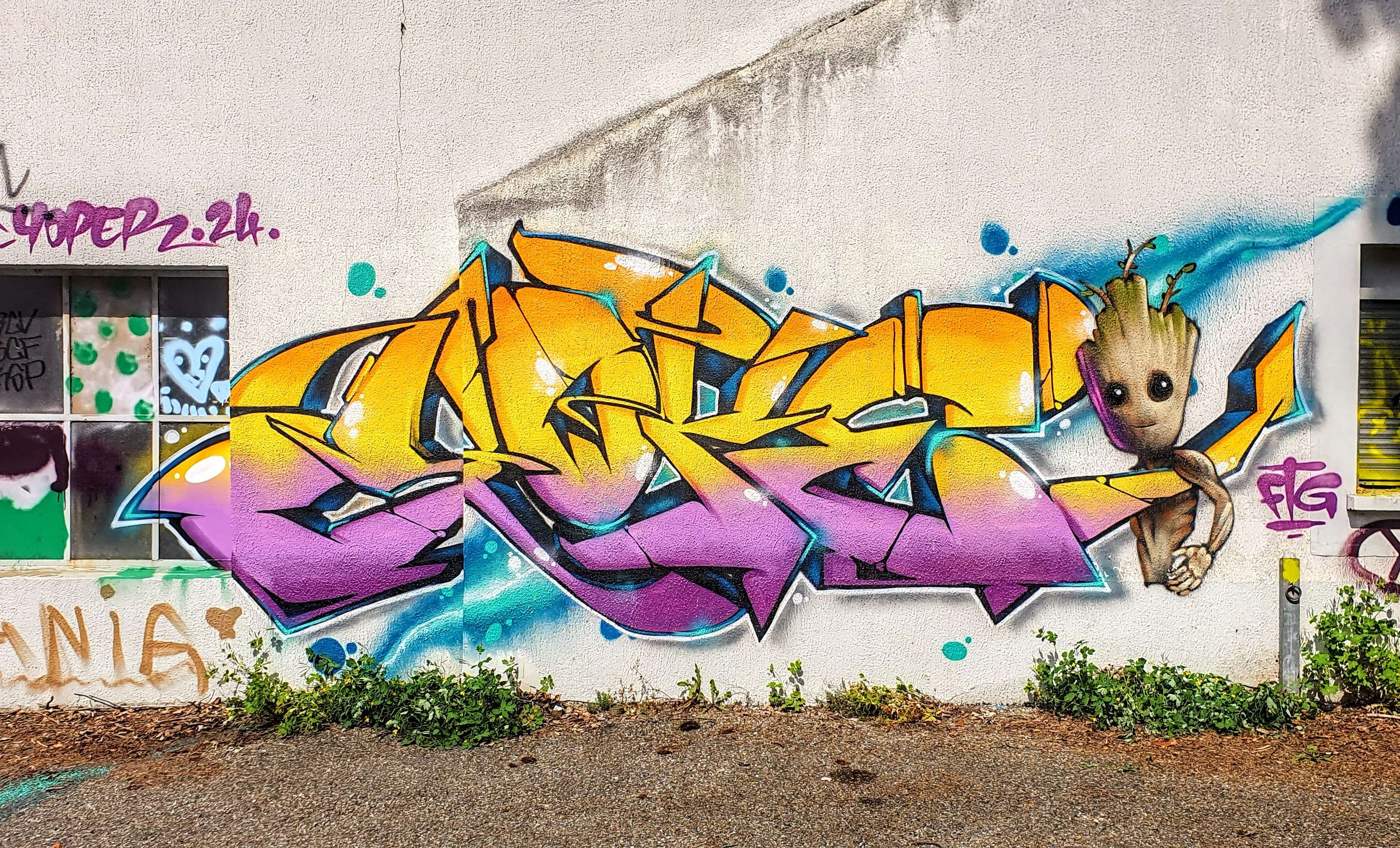 
								Street-art graffiti fresque 
								 
									8 Route de Saint-Jean-de-Bournay
									38300
									Bourgoin-Jallieu
									France 
									AnunaQi
								Street-Art-Safari.com
								