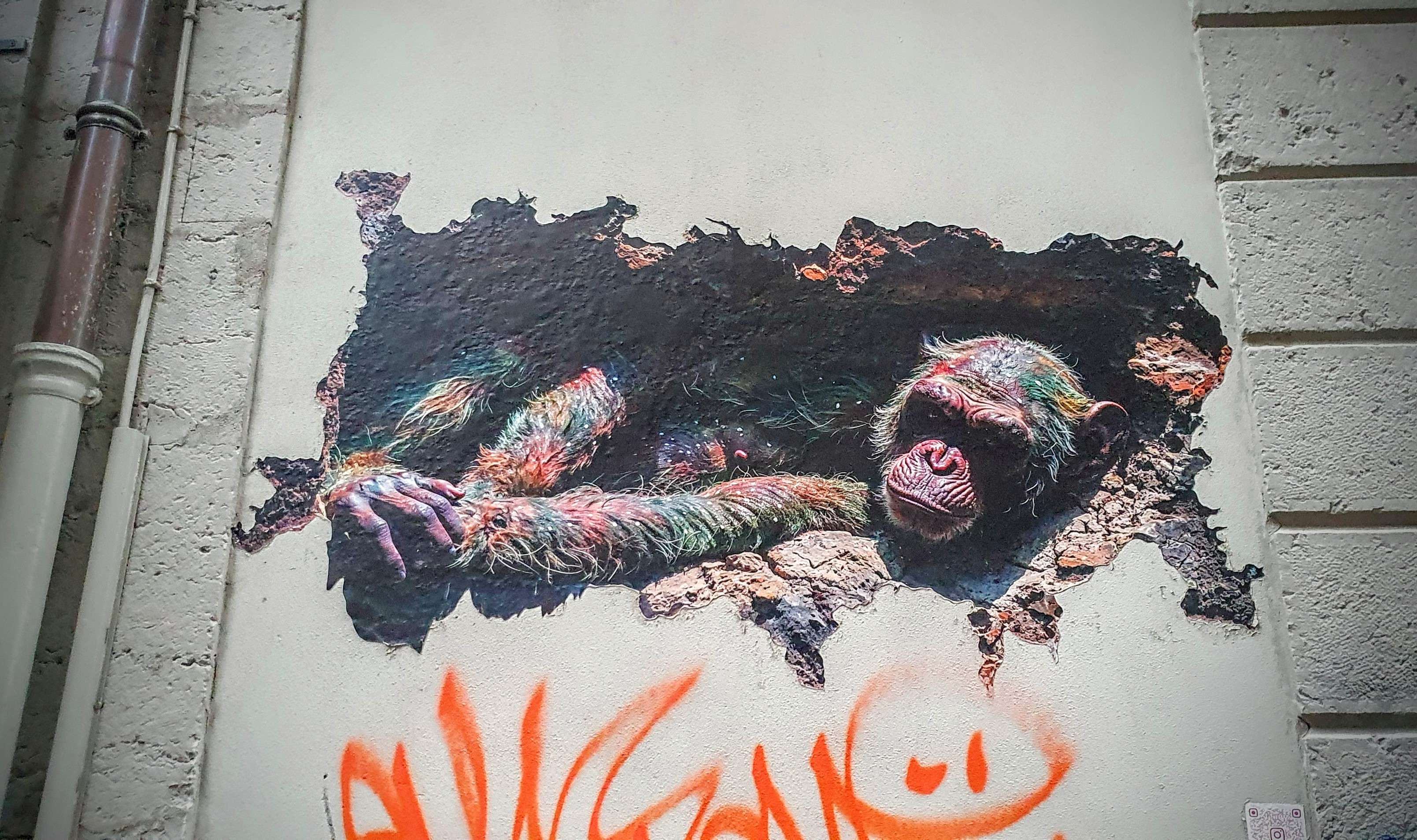 
								Street-art graffiti fresque 
								 
									52 Rue Ren&eacute; Leynaud
									69001
									Lyon
									France 
									AnunaQi
								Street-Art-Safari.com
								