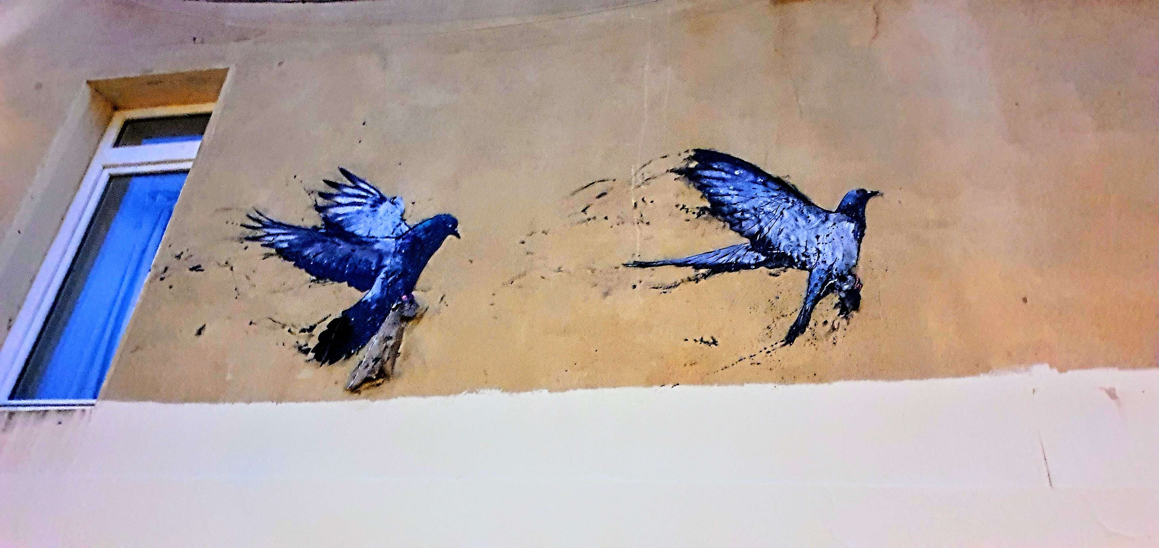 
								Street-art graffiti fresque 
								Brusk 
									
									69001
									Lyon
									France 
									AnunaQi
								Street-Art-Safari.com
								