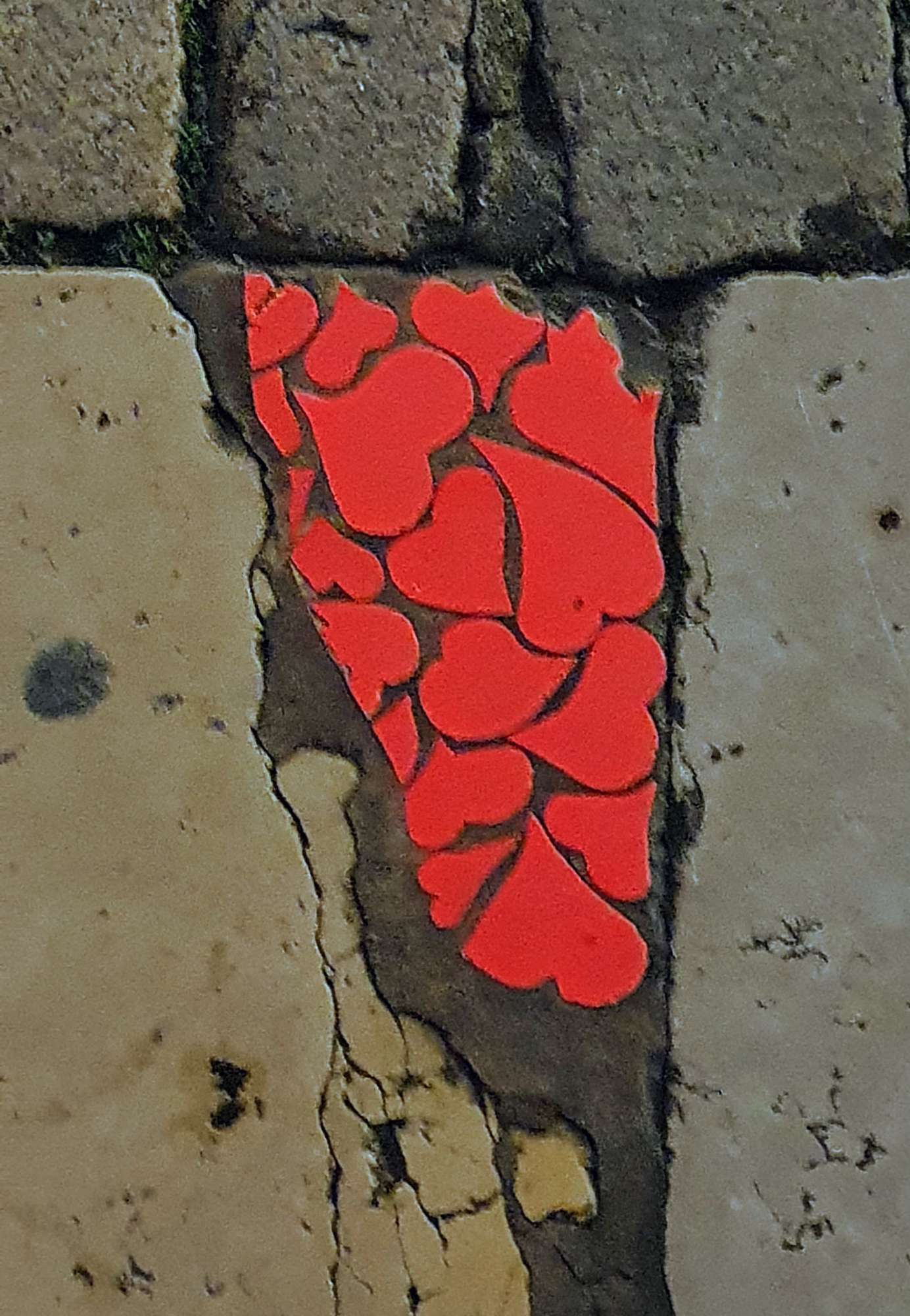 
								Street-art graffiti fresque 
								 
									4 Place du Change
									69005
									Lyon
									France 
									AnunaQi
								Street-Art-Safari.com
								