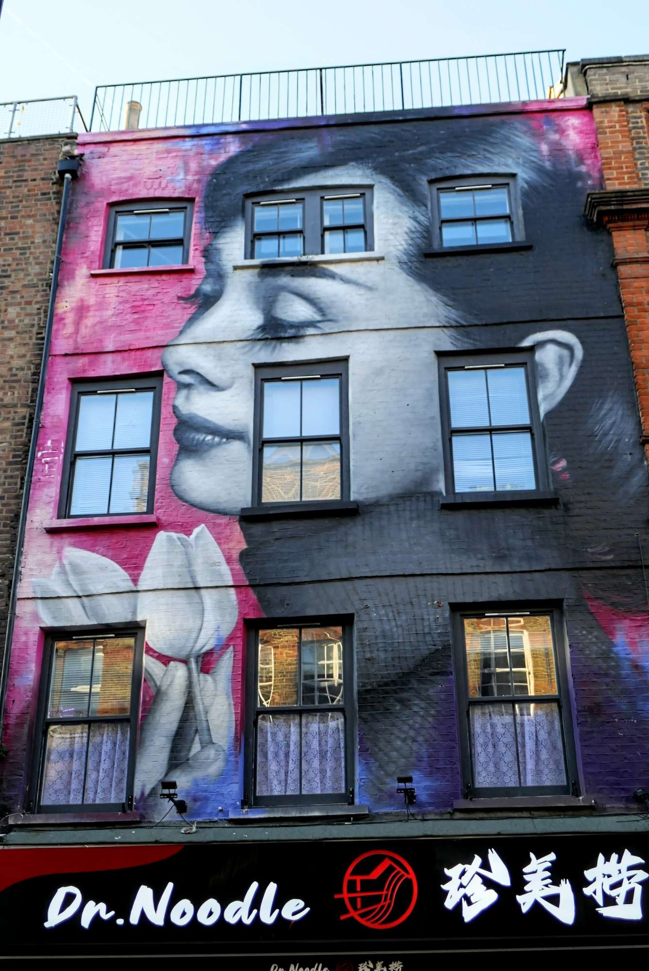 
								Street-art graffiti fresque 
								 
									55 Caledonian Road
									N1 9BU
									London
									United Kingdom 
									AnunaQi
								Street-Art-Safari.com
								