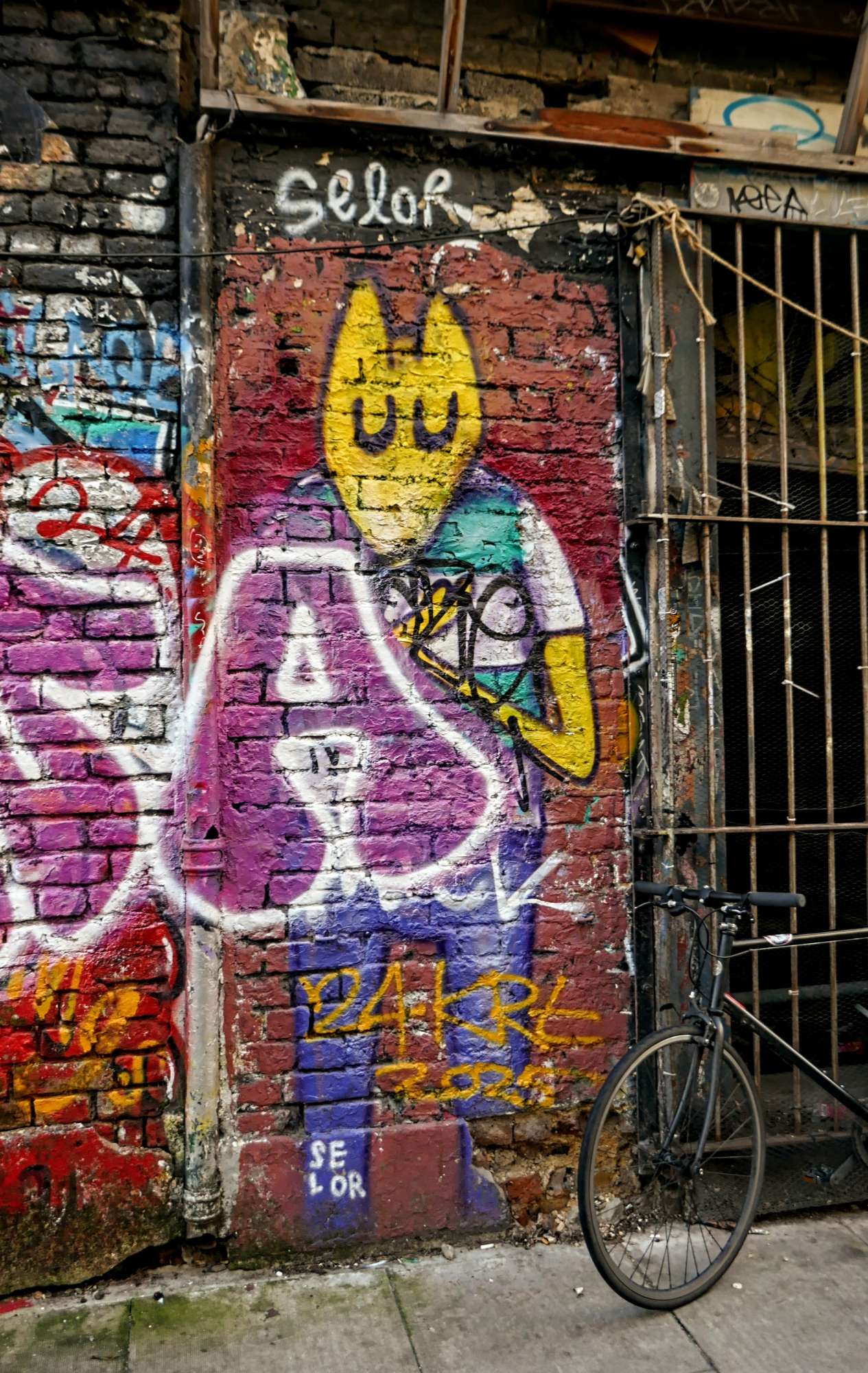 
								Street-art graffiti fresque 
								David Selor, Selor 
									68-66 Sclater Street
									E1 6HR
									London
									United Kingdom 
									AnunaQi
								Street-Art-Safari.com
								