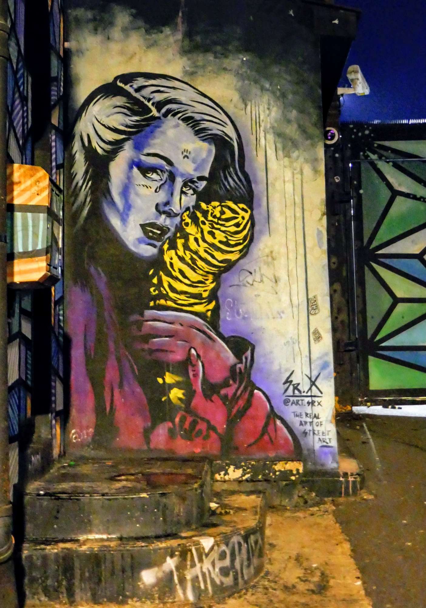 
								Street-art graffiti fresque 
								SR.X 
									176 Camden High Street
									NW1 8QL
									London
									United Kingdom 
									AnunaQi
								Street-Art-Safari.com
								