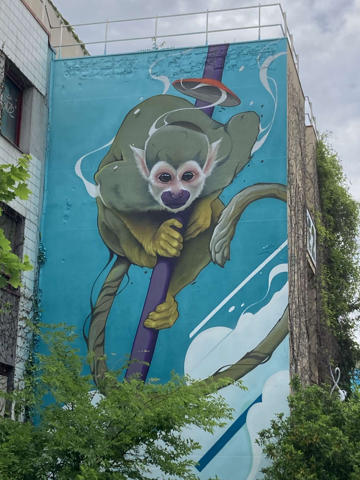 
								Street-art graffiti fresque 
								Kalouf 
									58 Rue Gorge de Loup
									69009
									Lyon
									France 
									Karo-Karo Kendrickx
								Street-Art-Safari.com
								