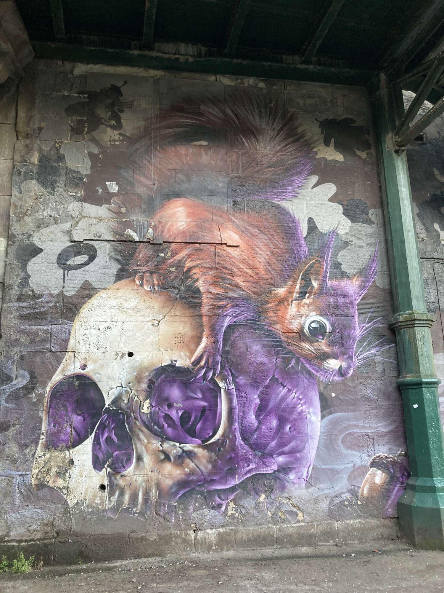 
								Street-art graffiti fresque 
								 
									437 Great Western Road
									G4 9JA
									Glasgow
									United Kingdom 
									Karo-Karo Kendrickx
								Street-Art-Safari.com
								